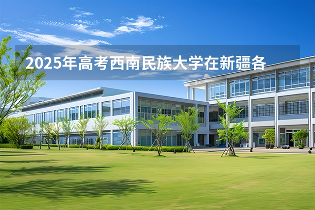 2025年高考西南民族大学在新疆各批次选科要求有哪些