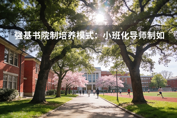 强基书院制培养模式：小班化导师制如何运作