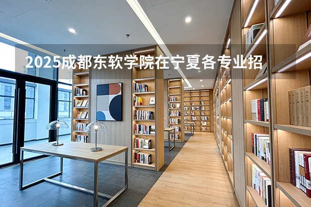 2025成都东软学院在宁夏各专业招生人数（2026参考）