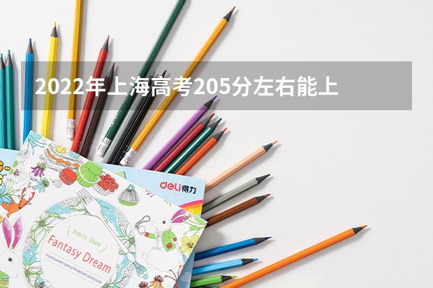2022年上海高考205分左右能上什么样的大学