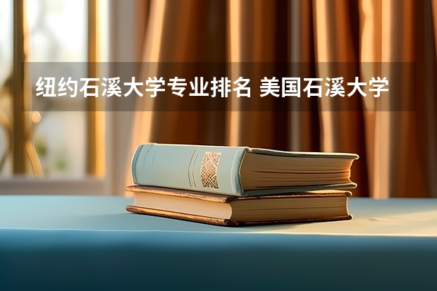 纽约石溪大学专业排名 美国石溪大学