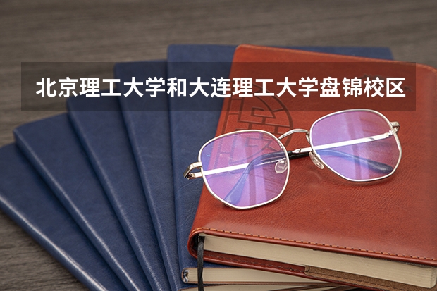北京理工大学和大连理工大学盘锦校区哪个好 录取分数线对比