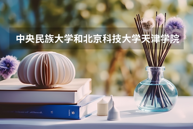 中央民族大学和北京科技大学天津学院哪个好 录取分数线对比