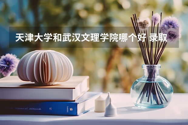 天津大学和武汉文理学院哪个好 录取分数线对比