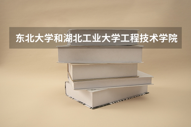 东北大学和湖北工业大学工程技术学院哪个好 录取分数线对比