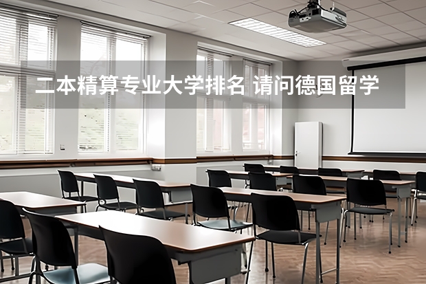二本精算专业大学排名 请问德国留学比较好的专业(5篇)