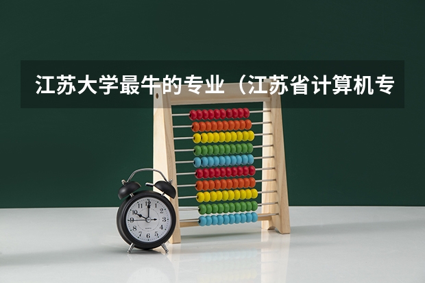 江苏大学最牛的专业（江苏省计算机专业大学排名）