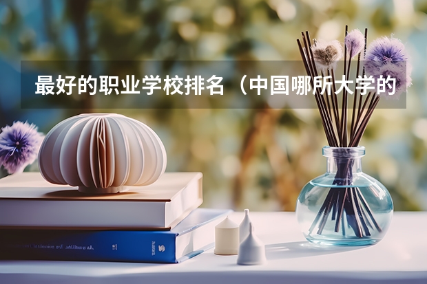 最好的职业学校排名（中国哪所大学的软件工程专业最好？）