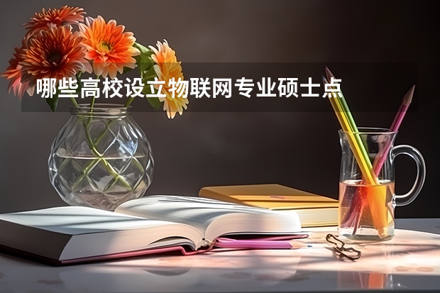哪些高校设立物联网专业硕士点