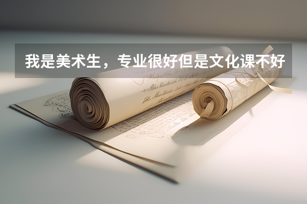 我是美术生，专业很好但是文化课不好，请问哪些学校是根据专业排名录取的？对文化排名要求低呢