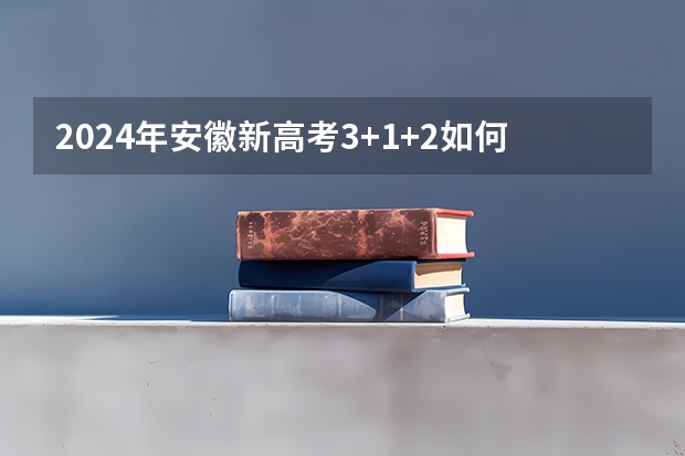 2024年安徽新高考3+1+2如何选科