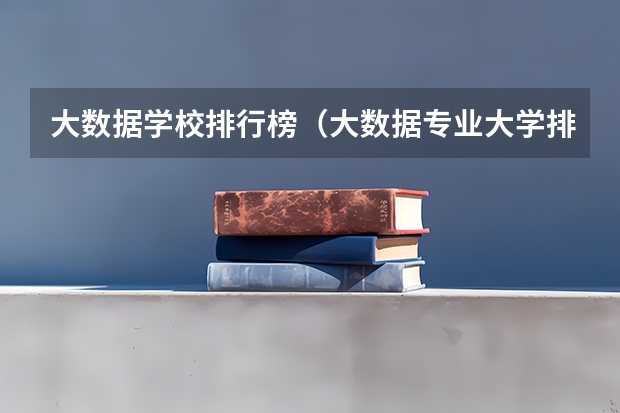 大数据学校排行榜（大数据专业大学排名）