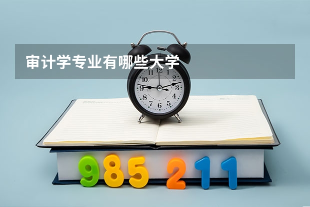 审计学专业有哪些大学