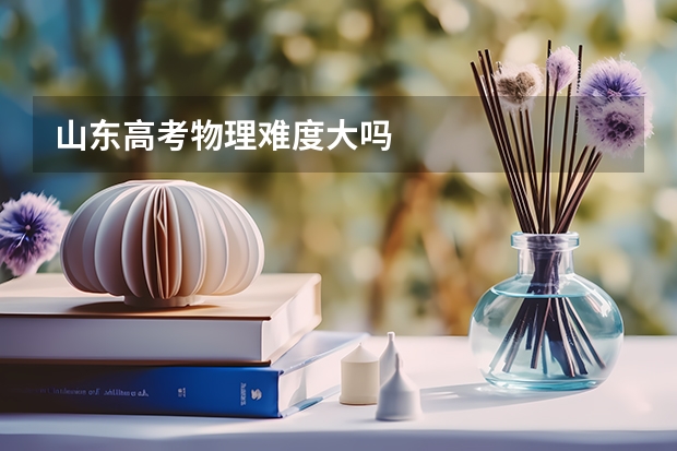 山东高考物理难度大吗
