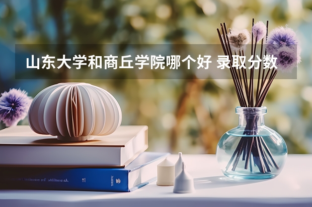 山东大学和商丘学院哪个好 录取分数线对比