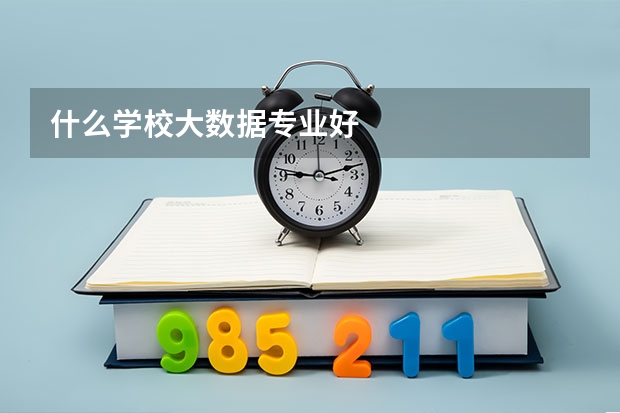 什么学校大数据专业好