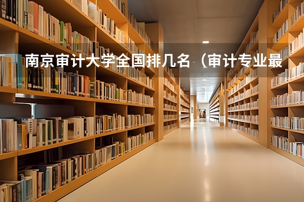南京审计大学全国排几名（审计专业最好的大学）