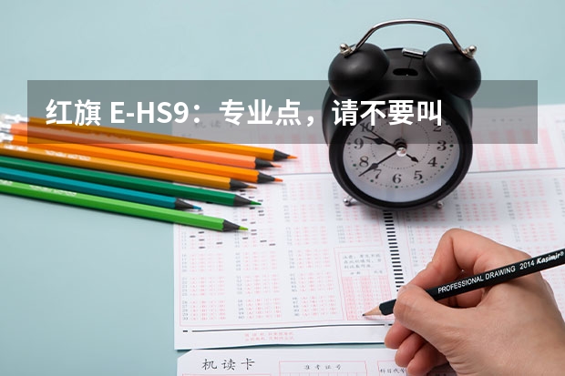 红旗 E-HS9：专业点，请不要叫我“东方库里南”（全球汽车十大空气悬挂品牌）