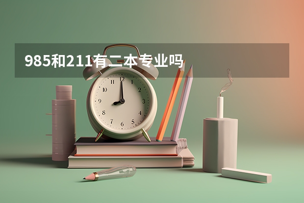 985和211有二本专业吗