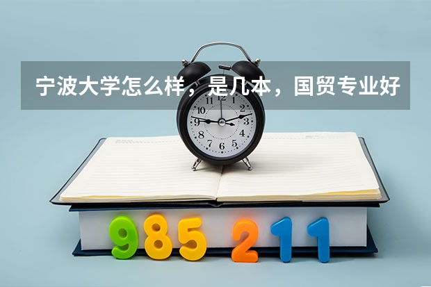 宁波大学怎么样,是几本,国贸专业好吗?