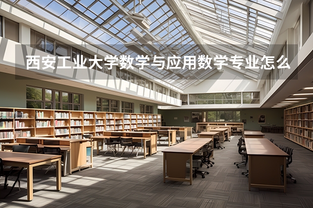西安工业大学数学与应用数学专业怎么样