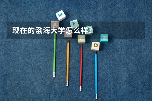 现在的渤海大学怎么样?