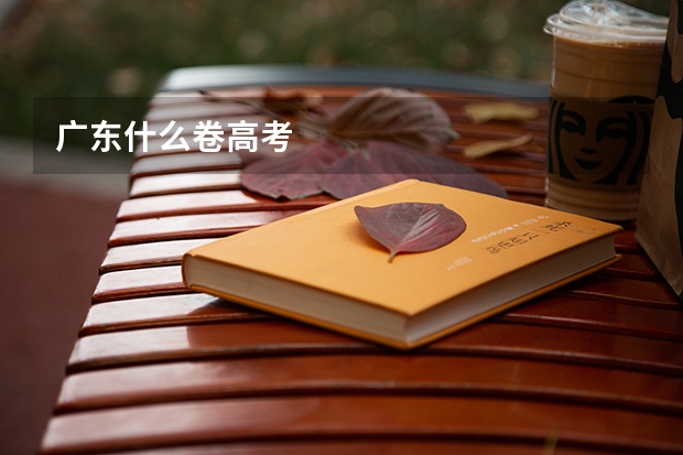 广东什么卷高考