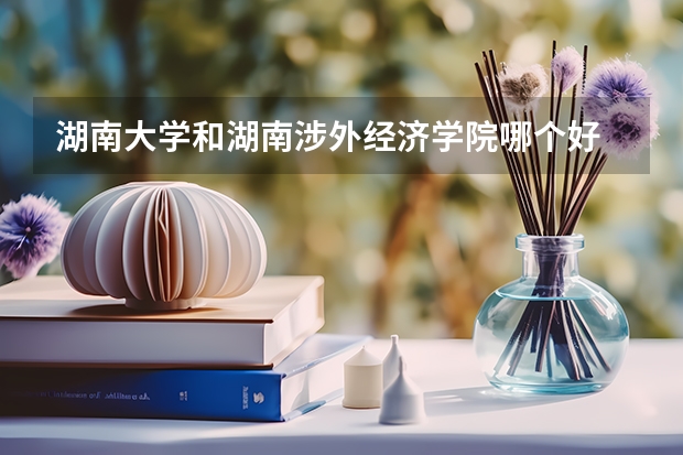 湖南大学和湖南涉外经济学院哪个好 录取分数线对比