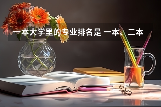 一本大学里的专业排名是 一本、二本“计算机科学与技术专业”排名