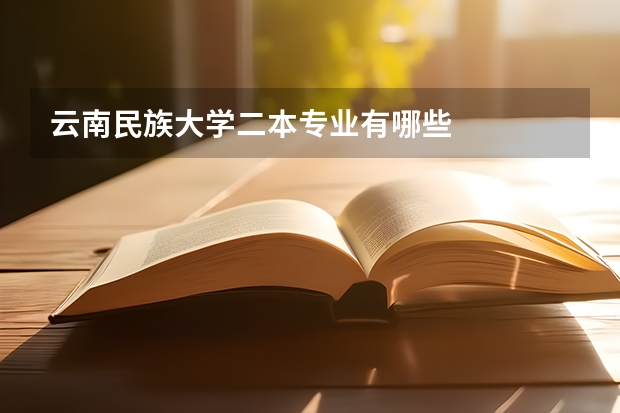 云南民族大学二本专业有哪些