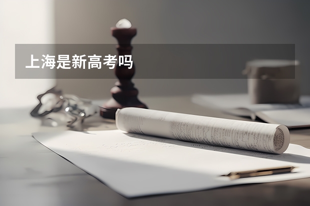 上海是新高考吗