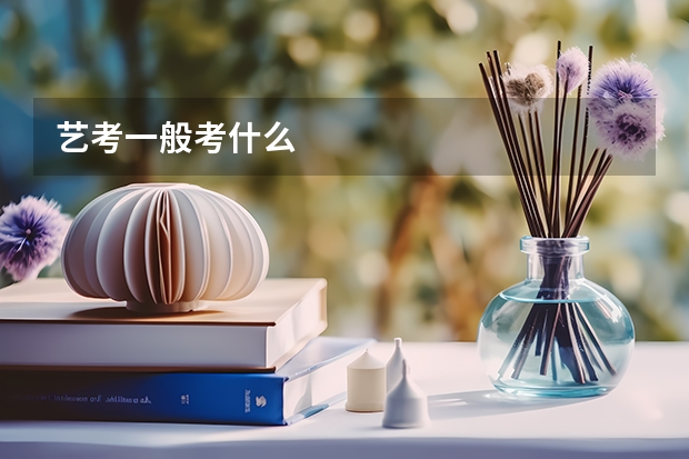 艺考一般考什么