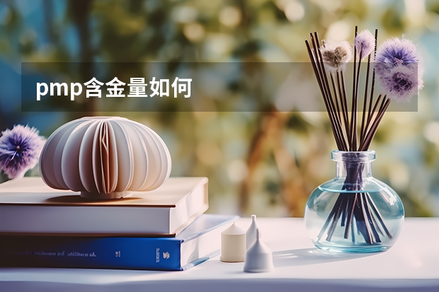 pmp含金量如何