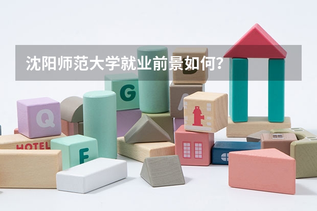 沈阳师范大学就业前景如何？
