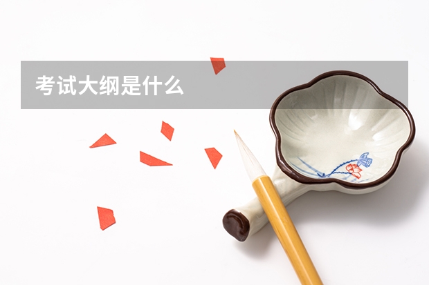 考试大纲是什么