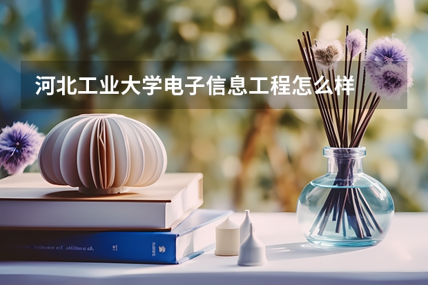 河北工业大学电子信息工程怎么样