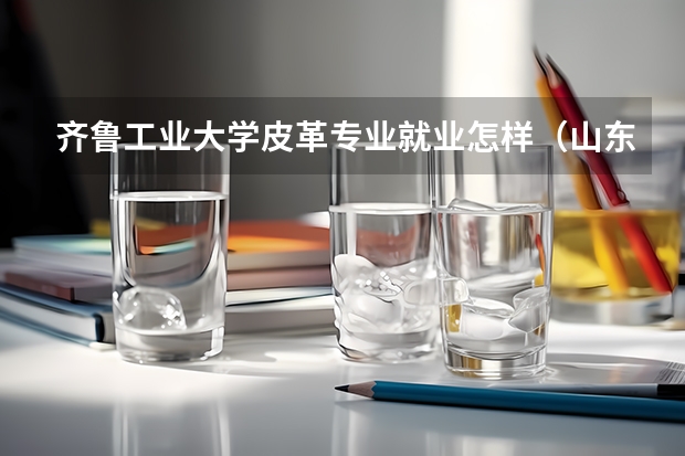 齐鲁工业大学皮革专业就业怎样（山东本科学院排名）