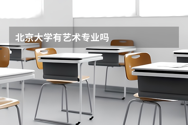 北京大学有艺术专业吗