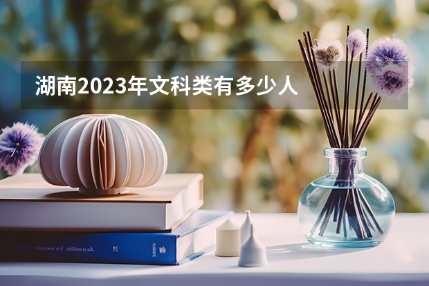 湖南2023年文科类有多少人