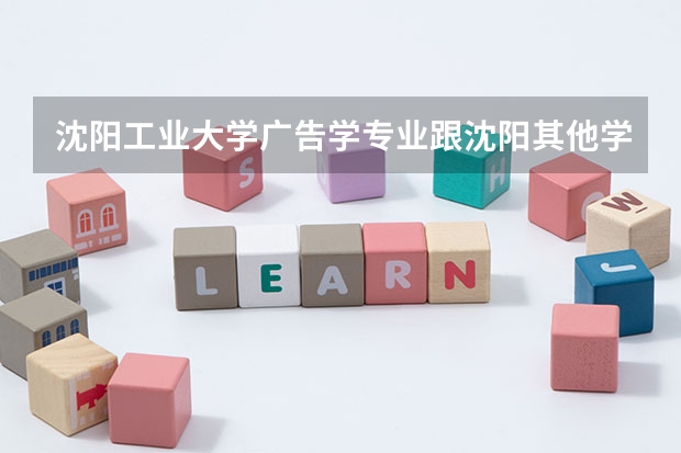 沈阳工业大学广告学专业跟沈阳其他学校的新传系相比有什么优势吗？