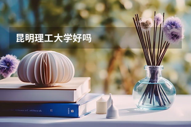 昆明理工大学好吗