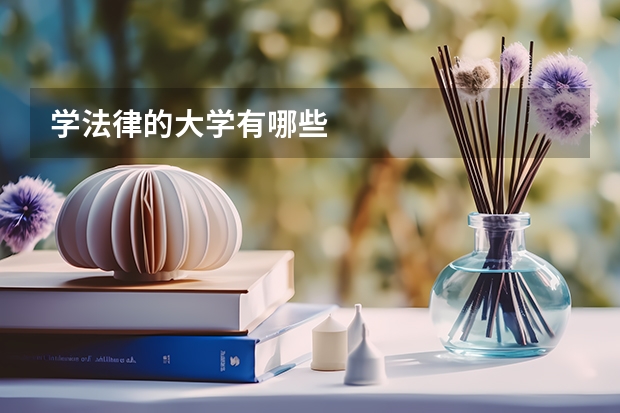 学法律的大学有哪些