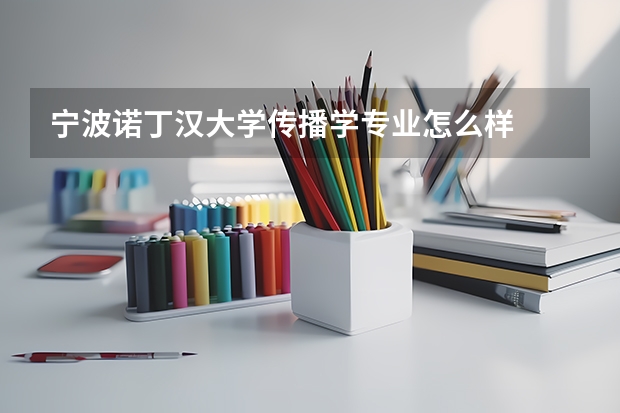 宁波诺丁汉大学传播学专业怎么样