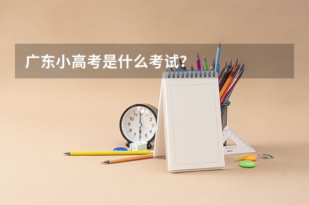 广东小高考是什么考试？