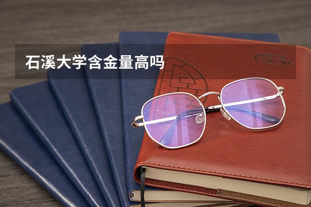 石溪大学含金量高吗