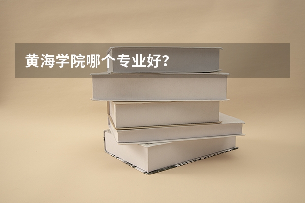 黄海学院哪个专业好？