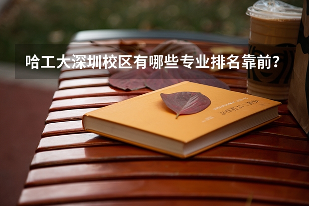 哈工大深圳校区有哪些专业排名靠前？