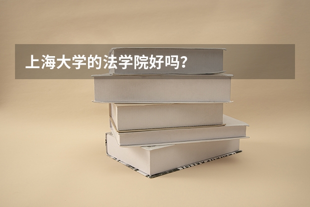 上海大学的法学院好吗？