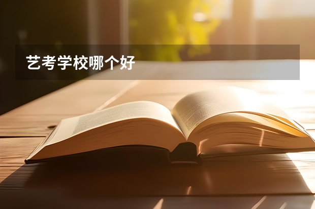 艺考学校哪个好