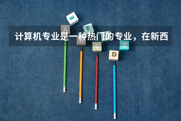 计算机专业是一种热门的专业，在新西兰计算机专业发展前途怎么样？